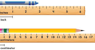 Measuring And Comparing Length Weight And Capacity Overview In 2020 Measurements Teaching Math Common Core State Standards