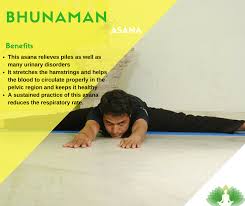 Yoga School Blog Akshara Yoga School S Yoga Tips Benefits And Insights Yoga Benefits Yoga Tips Yoga Help