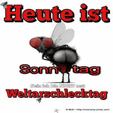 Weitere ideen zu sonntagsgrüße, sonntag, guten morgen lustig. Mck Sonntag S Gb Sonntag Ist Ruhetag Viel Spass Wochenende Gif Wochenende Lustig Freitag Lustig