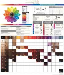 paul mitchell hair color chart paul mitchell color