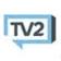 TV2 Consulting