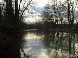 Alum Creek Flows Through The West Side Of Westerville Ohio It Was The Back Border Of My Grampa Busic S Property Directly Behind The Raspberry Patch Where I