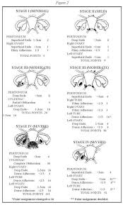 Endometriosis Facts Including Rates For Fertility