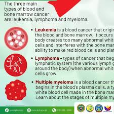 Image result for Hematologic Cancer