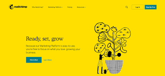 The next time you log in to our website, we'll walk you through the rest of the setup steps. Top 7 Best Mailchimp Alternatives For Effective Email Marketing 2021