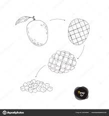 Seputar nama nama buah dan gambar buah buahan segar dalam bahasa inggris maupun bahasa arab, ada yang hitam putih, nama buah buahan untuk mewarnai. Gambar Buah Mangga Hitam Putih