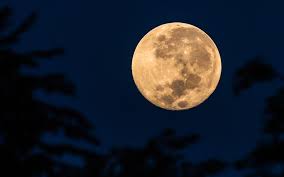 A beautiful full moon in the sky and it`s a very beautiful flower. Here Are The Most Beautiful Photos Of The Super Moon From Around The World Los Angeles Magazine