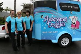 Are you in need of a little pampering? Grooming Salon Photos Mobile Pet Grooming Pet Grooming Salon Dog Grooming