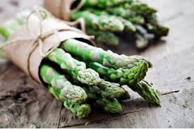 Image result for Asparagus devenishii