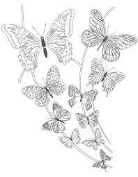 tatouage les papillons a colorier papillon coloriage sam le pompier