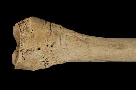 Videos porno sergio mengual we scheduled an hour incall