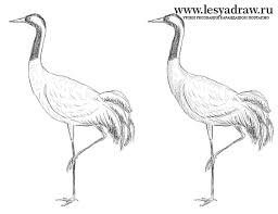 Sejak berabad silam, seni rupa yang paling banyak ditemui di semua peradaban manusia adalah seni menggambar. Bagaimana Melukis Kren Dengan Cara Yang Berbeza Cara Melukis Bangau Dan Bangau Cara Melukis Kren Di Medan Perang