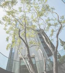 1st choice urgent care | a & s total cleaning | a las vegas medical group (elmer david md) | a. Cosmax Medical Aesthetic Centre Tsim Sha Tsui Hong Kong Bcd Aesthetic Center Medical Aesthetic Spa Interior