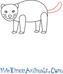 How To Draw A Simple Mountain Lion For Kids It's actually quite easy, you just need to be i've had a few requests for how to take this to the next step and colour the mountain ranges. how to draw a simple mountain lion for kids
