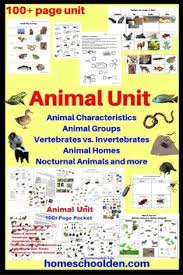 Pin On Animals Homeschool Activities