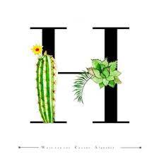 Alphabet Letter H With Watercolor Cactus And Leaves Background Watercolor Color Floral Png And Vector With Transparent Background For Free Download Lettering Alphabet Watercolor Cactus Picture Letters