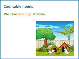 countable and uncountable nouns k5 learning