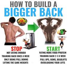 Hou To Build A Bigger Back Workout Muscle Building Workouts Gym Workout Chart