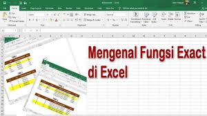 Mengenal Fungsi Exact Di Excel Ag Excel Belajar