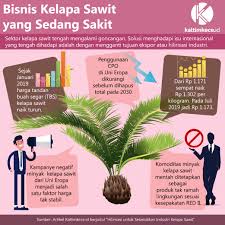Tanaman kelapa sawit adalah sebagai berikut : Pahitnya Harga Kelapa Sawit Pengusaha Nantikan Hilirisasi