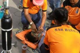 Di web ini ada beberapa binatang laut lain yang sudah saya gambar untuk diwarnai seperti gambar hewan penyu gambar ubur ubur gambar ikan buntal gambar ikan lumba lumba dan hewan laut lainnya. 50 Orang Tersengat Ubur Ubur Saat Padusan Di Pantai Prangtritis Tribun Jogja