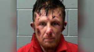 Tennessee fugitive who shot WVa police officer sentenced