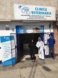 ANIMAL HEALTH Clínica Veterinaria