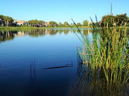 A still body of water smaller than a lake. Our Aquatic Work Lake And Pond Management Lakedoctors Com