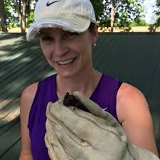 Trapper J Wildlife Removal