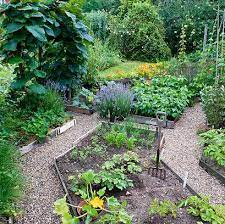 The astreea igloo, the perfect answer to the unpredictability of uk weather! What To Plant In August 10 Flowers And Vegetables You Can Plant In August