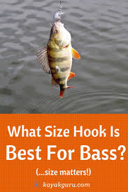 What Size Of Hook For Bass Fishing Guide To The Best For