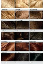 satin hair color chart lamidieu org