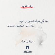 ألا نحن في دار قليل بقائها أبو العتاهية عالم الأدب Wise Words Quotes Arabic Quotes Words Quotes