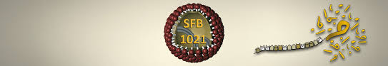 View ben glynn's profile on linkedin, the world's largest professional community. Projects Sfb1021