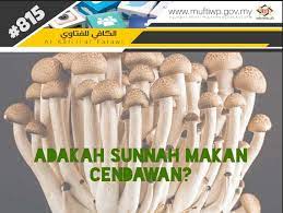 @mydoa_hq @lpp_malaysia @tanippdpontian @mafimalaysia @rkiandee @ahmadmaslan @ppkbenut @agroyouthmafi pic.twitter.com/gdjtipqytq. Pejabat Mufti Wilayah Persekutuan Al Kafi 815 Adakah Makan Cendawan Itu Sunnah