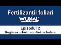 Episodul 2 Agenții De Tamponare Youtube