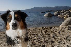Franciscan lakeside lodge #22, north lake tahoe in tahoe vista. Tahoe Vista Lodge
