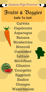 What veggies should they eat? Pin On Pets