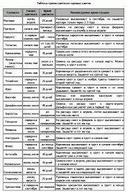 когда сажать сладкий перец на рассаду в 2019 году Vremya Cveteniya Cvetov Kalendar Sadovyh Rastenij Piante