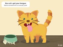 Hasthecatgotyourtongue — did a cat get your tongue ? Cat Got Your Tongue Meaning And Sentence