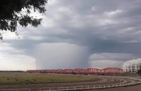 Maybe you would like to learn more about one of these? Hongo De Lluvia Que Es Y Por Que Alarmo A Todos En Santiago Del Estero La 100