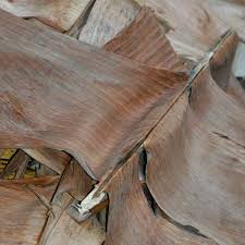 Membandingkan setiap media pertumbuhan tersebut guna. Jual Daun Ll Daun Pisang Ll Daun Pisang Kering Ll Klaras Di Lapak Gudang Tani Bukalapak