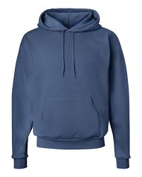 Hanes Ecosmart Hooded Sweatshirt