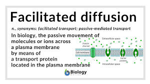 Examples of plant cell diffusion. Facilitated Diffusion Definition And Examples Biology Online Dictionary