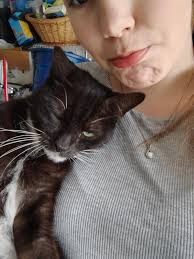 This Cat has claimed this child as her human! 😍❤️