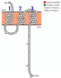 Online Analysis Tools Protein Secondary Structure