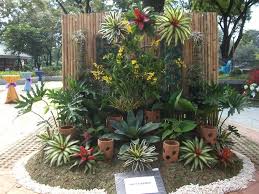 Pin On Garden
