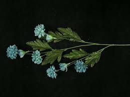 With a bright enthusiasm that'll bring a new spark of excitement and vibrancy to any event, teal takes the softness of other blues and spices it up with a bit of flair. Silk Flowers By Color Teal