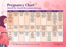Pregnancy Chart Qfatima