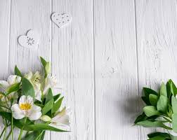 Background For Text Banner On A White Wooden Background With White Flowers Blan Spon Wooden Ba Wooden Flowers Flower Background Wallpaper White Flowers